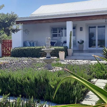 Villa Fairview à Yzerfontein Extérieur photo