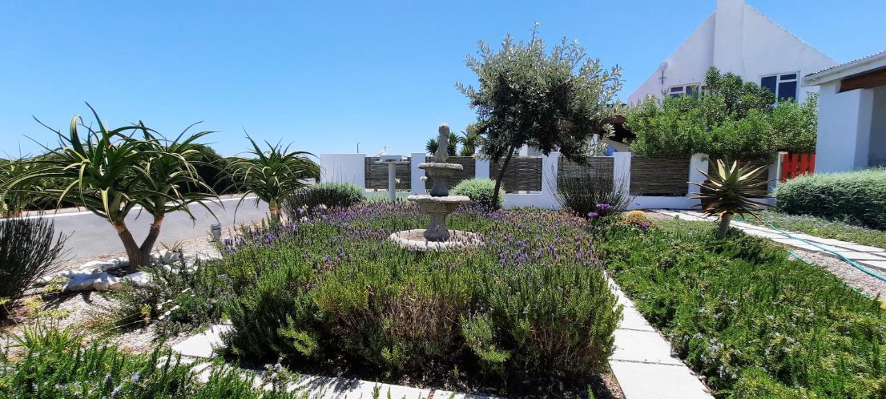 Villa Fairview à Yzerfontein Extérieur photo