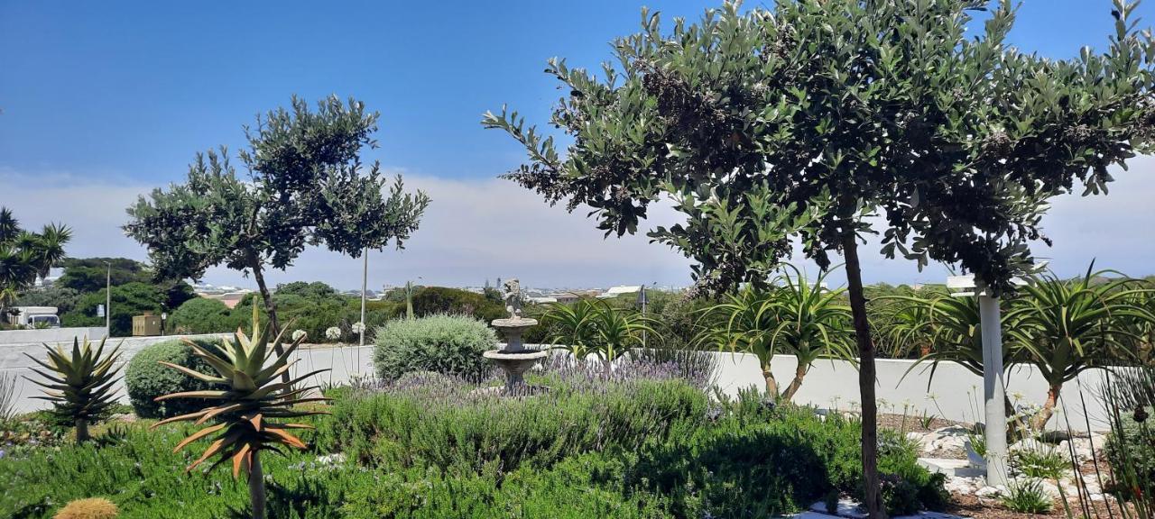Villa Fairview à Yzerfontein Extérieur photo